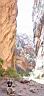 059_zion.jpg
